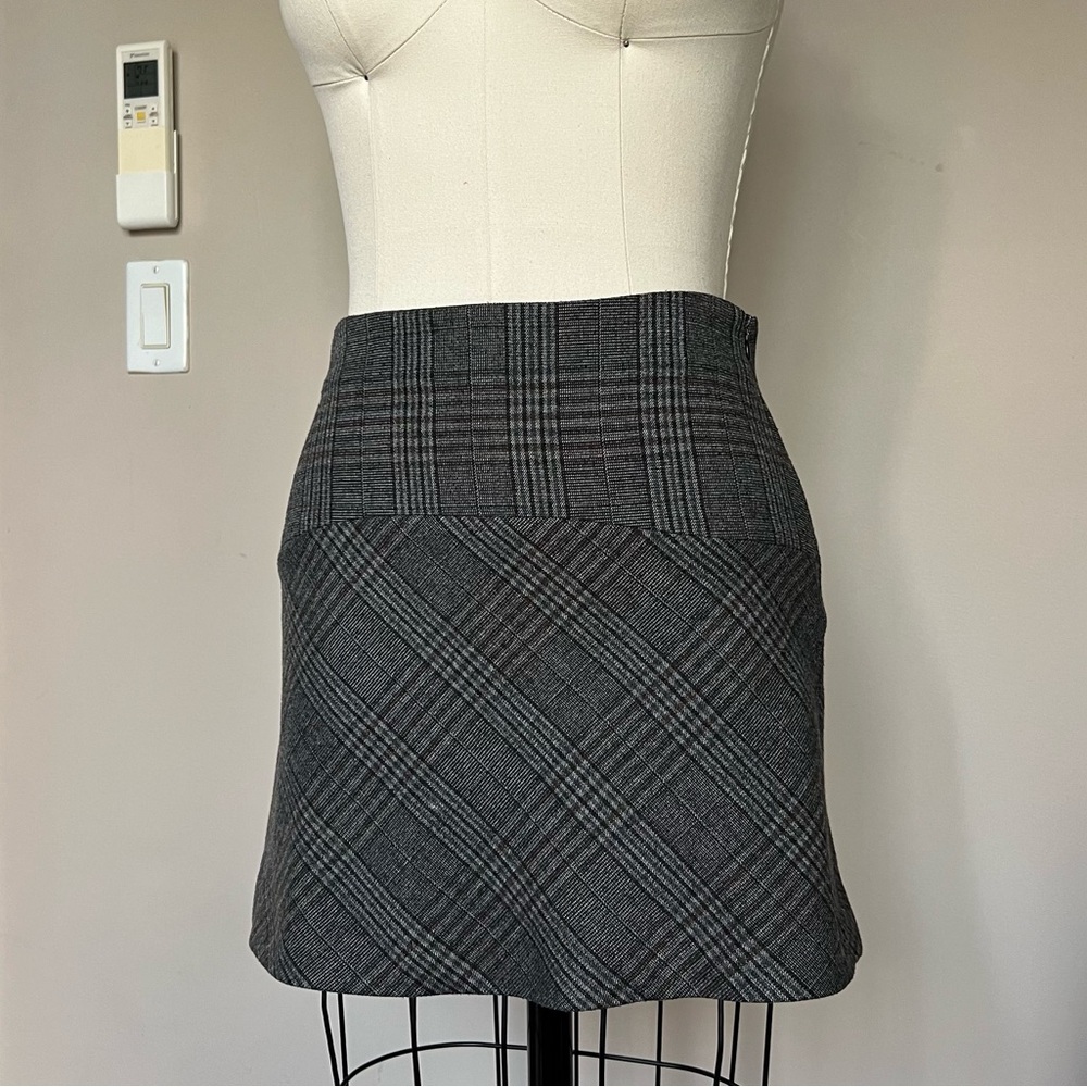 Paid Mini Skirt